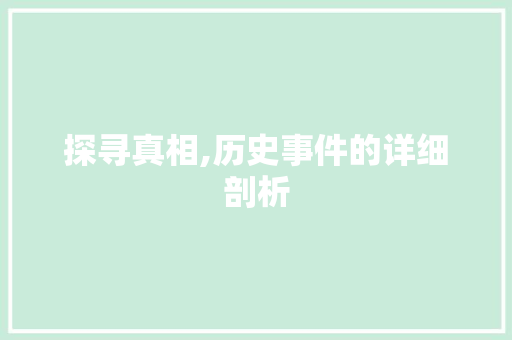 探寻真相,历史事件的详细剖析