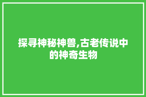 探寻神秘神兽,古老传说中的神奇生物