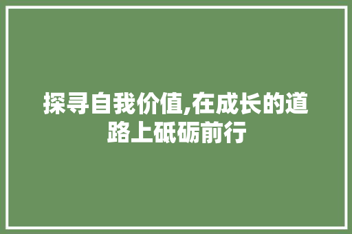 探寻自我价值,在成长的道路上砥砺前行