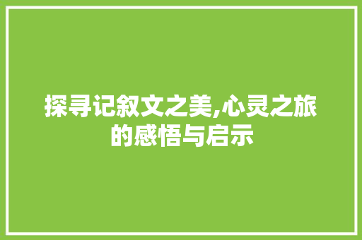 探寻记叙文之美,心灵之旅的感悟与启示