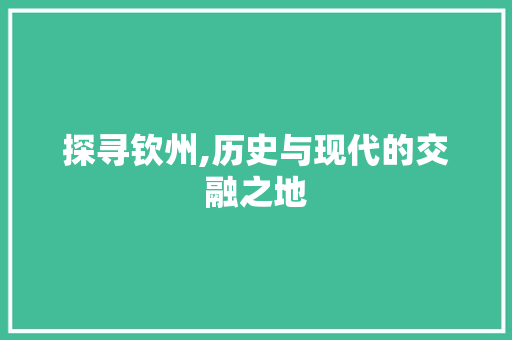 探寻钦州,历史与现代的交融之地