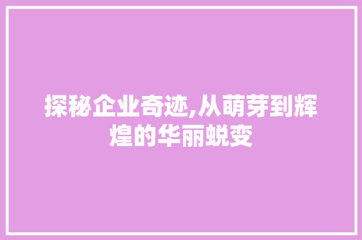 探秘企业奇迹,从萌芽到辉煌的华丽蜕变