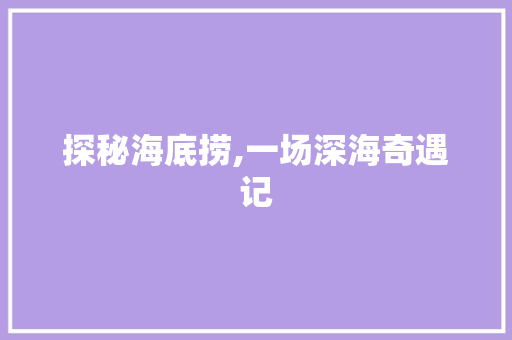 探秘海底捞,一场深海奇遇记