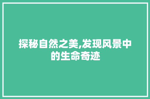 探秘自然之美,发现风景中的生命奇迹