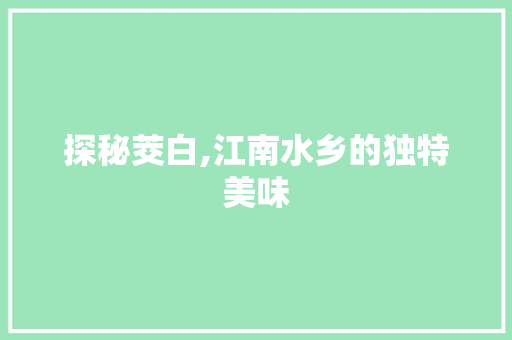 探秘茭白,江南水乡的独特美味 申请书范文