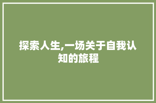 探索人生,一场关于自我认知的旅程