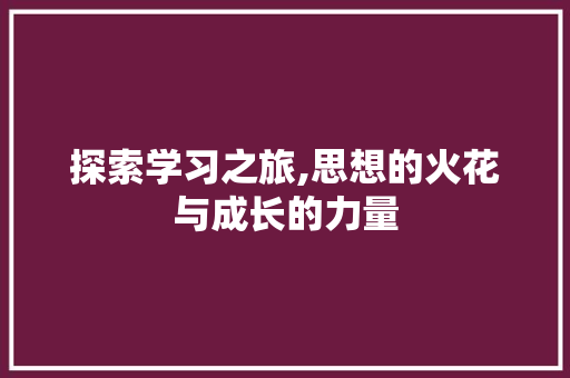 探索学习之旅,思想的火花与成长的力量