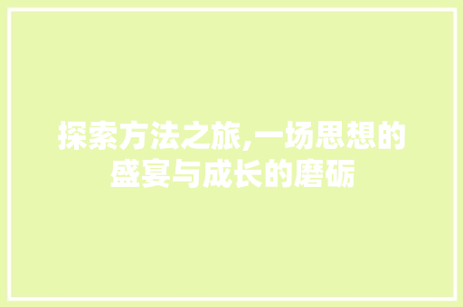 探索方法之旅,一场思想的盛宴与成长的磨砺