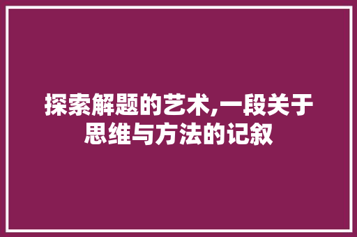 探索解题的艺术,一段关于思维与方法的记叙