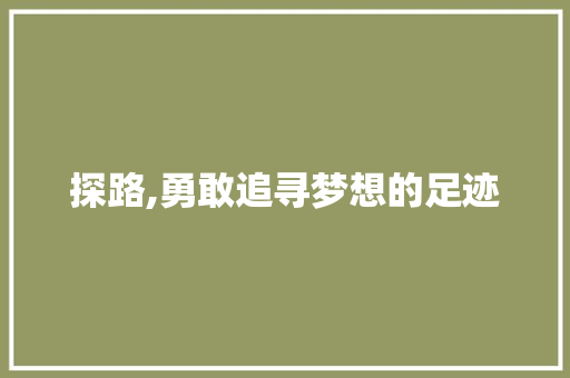 探路,勇敢追寻梦想的足迹