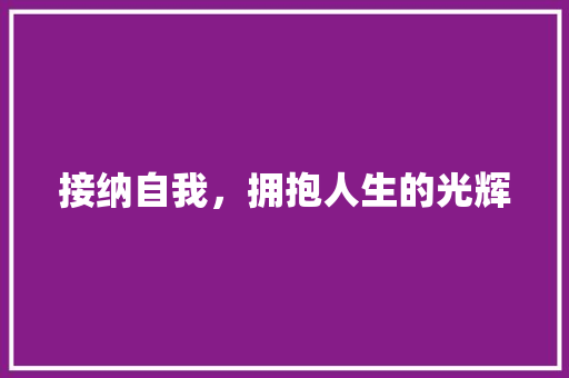 接纳自我，拥抱人生的光辉