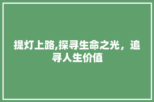 提灯上路,探寻生命之光，追寻人生价值