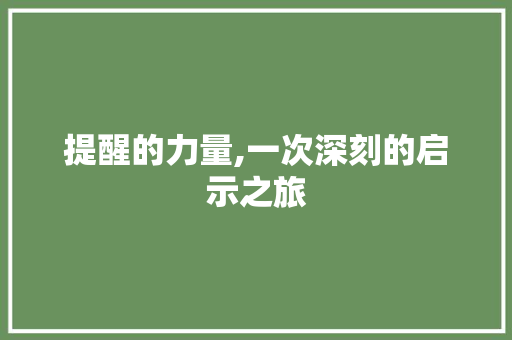 提醒的力量,一次深刻的启示之旅