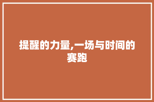 提醒的力量,一场与时间的赛跑