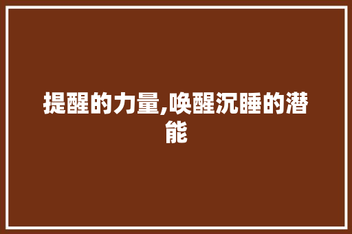 提醒的力量,唤醒沉睡的潜能