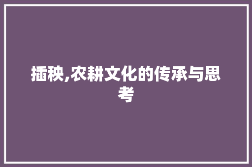 插秧,农耕文化的传承与思考