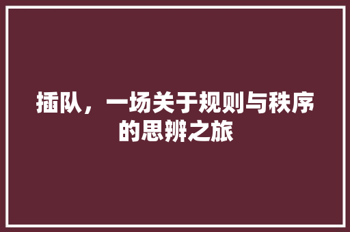 插队，一场关于规则与秩序的思辨之旅