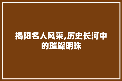 揭阳名人风采,历史长河中的璀璨明珠