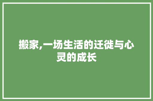 搬家,一场生活的迁徙与心灵的成长