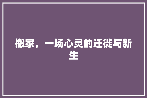 搬家，一场心灵的迁徙与新生