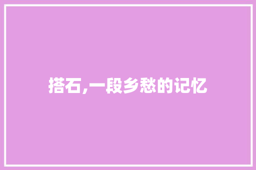 搭石,一段乡愁的记忆