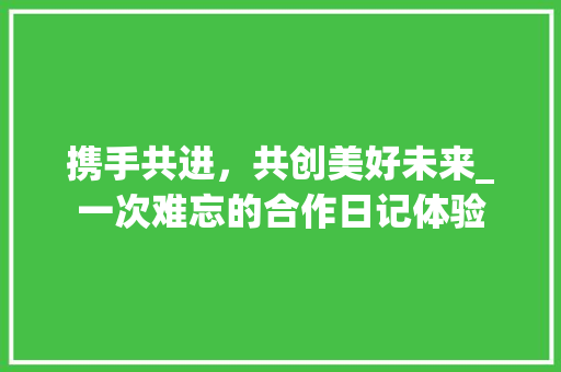 携手共进，共创美好未来_一次难忘的合作日记体验