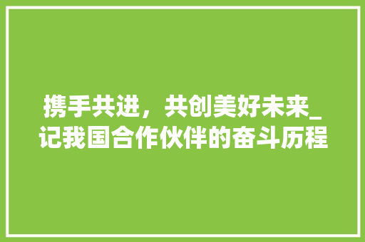 携手共进，共创美好未来_记我国合作伙伴的奋斗历程