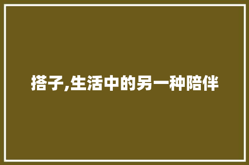 搭子,生活中的另一种陪伴