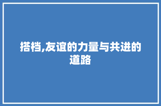 搭档,友谊的力量与共进的道路