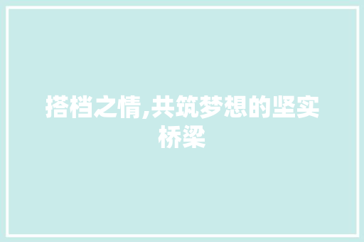 搭档之情,共筑梦想的坚实桥梁