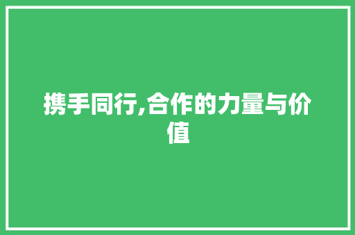 携手同行,合作的力量与价值