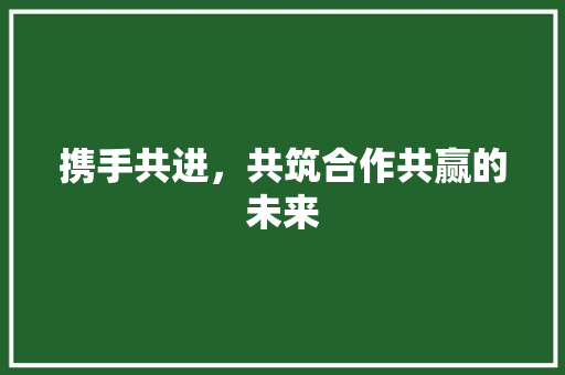 携手共进，共筑合作共赢的未来