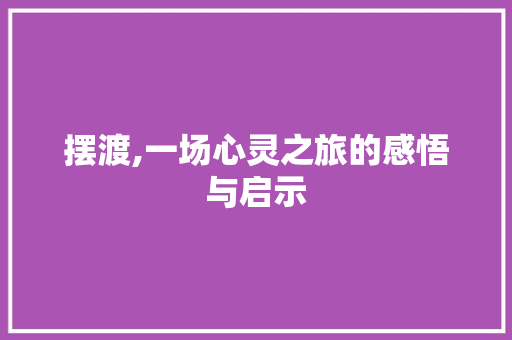 摆渡,一场心灵之旅的感悟与启示