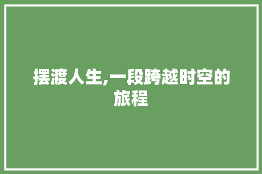 摆渡人生,一段跨越时空的旅程