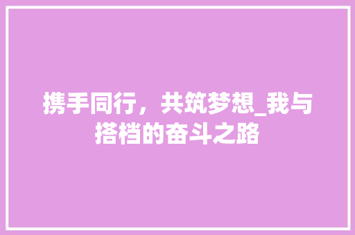 携手同行，共筑梦想_我与搭档的奋斗之路