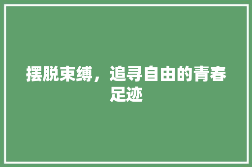 摆脱束缚，追寻自由的青春足迹