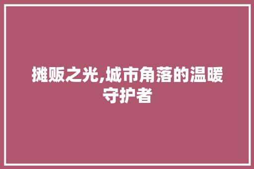 摊贩之光,城市角落的温暖守护者