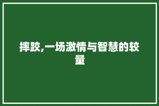 摔跤,一场激情与智慧的较量