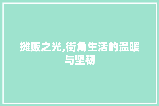 摊贩之光,街角生活的温暖与坚韧