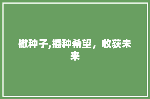 撒种子,播种希望，收获未来