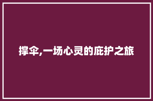 撑伞,一场心灵的庇护之旅