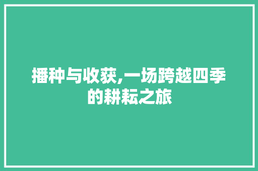 播种与收获,一场跨越四季的耕耘之旅