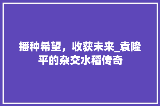 播种希望，收获未来_袁隆平的杂交水稻传奇