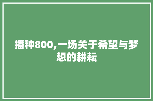 播种800,一场关于希望与梦想的耕耘