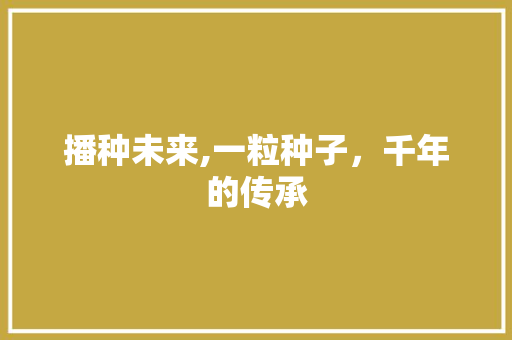 播种未来,一粒种子，千年的传承