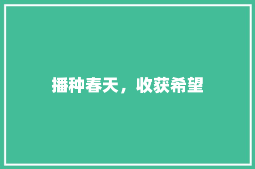 播种春天，收获希望