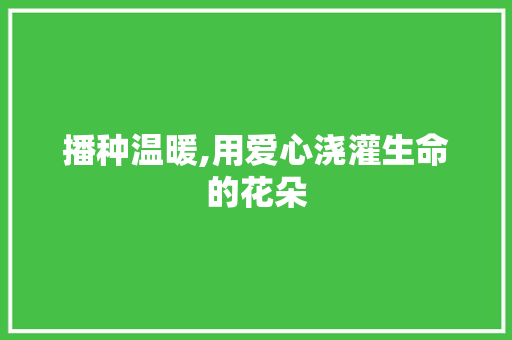 播种温暖,用爱心浇灌生命的花朵