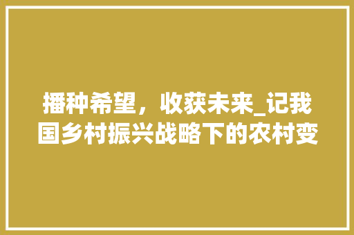 播种希望，收获未来_记我国乡村振兴战略下的农村变迁