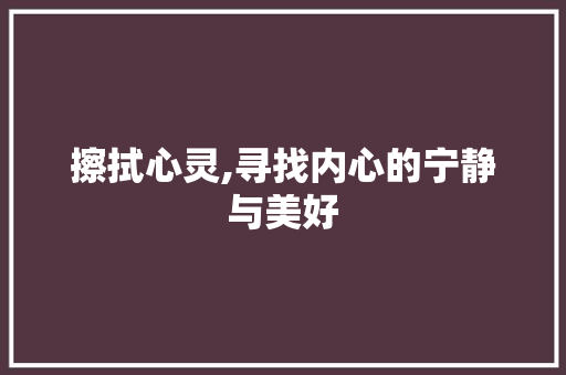 擦拭心灵,寻找内心的宁静与美好