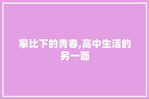 攀比下的青春,高中生活的另一面 书信范文